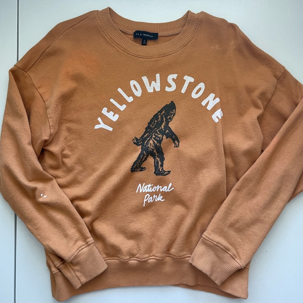 Graphic sweatshirt
